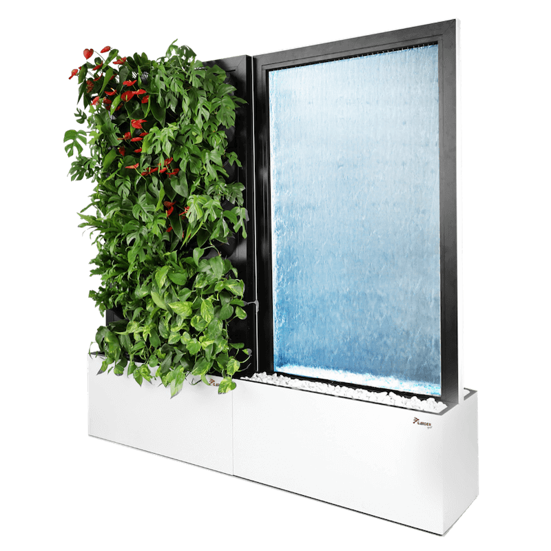Taimesein-veesein-Premium-Growert